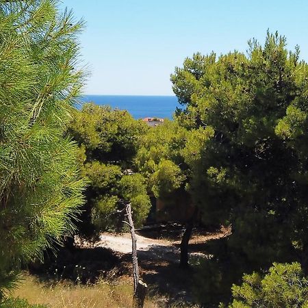 Fistiki Rooms Agia Marina  외부 사진