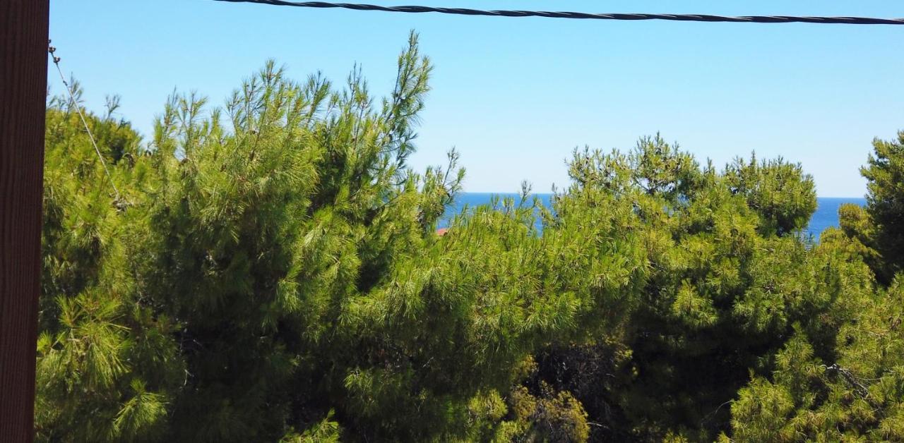 Fistiki Rooms Agia Marina  외부 사진