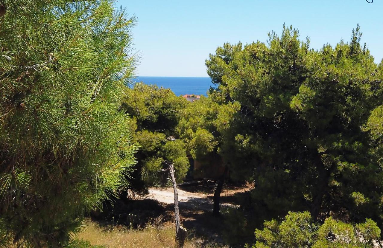 Fistiki Rooms Agia Marina  외부 사진